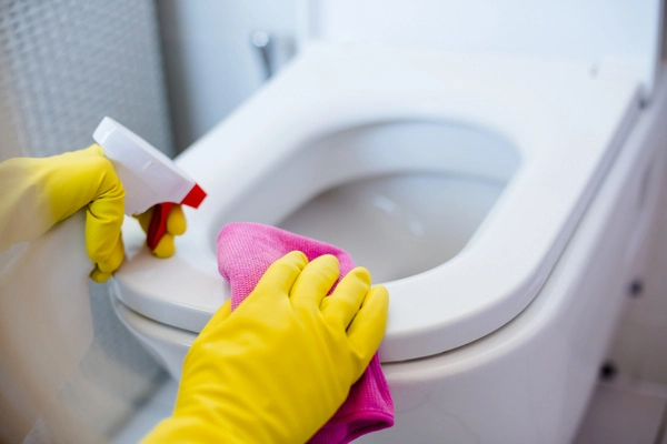 Bathroom Cleaning Bathroom Cleaning